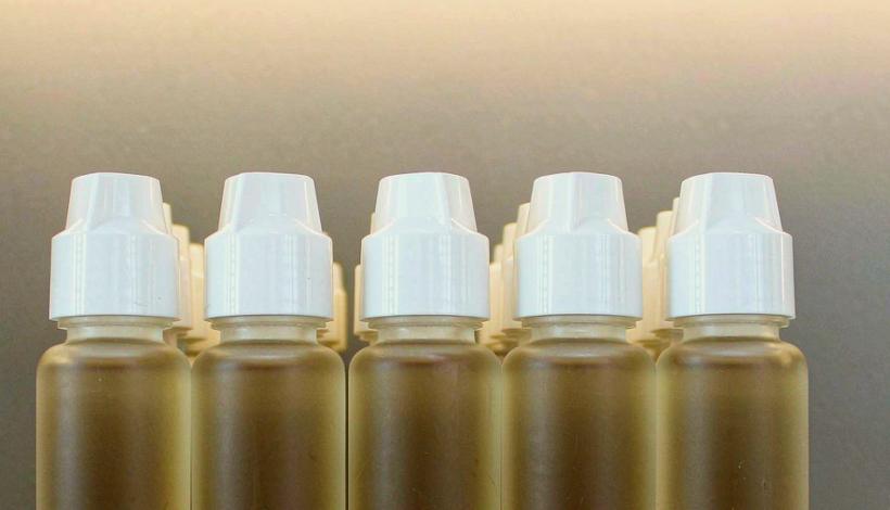 Algeria Convenience Shelf Vape Wholesale: Demand Trends in 2026 — Algeria Convenience Store Long Shelf Vape Bulk