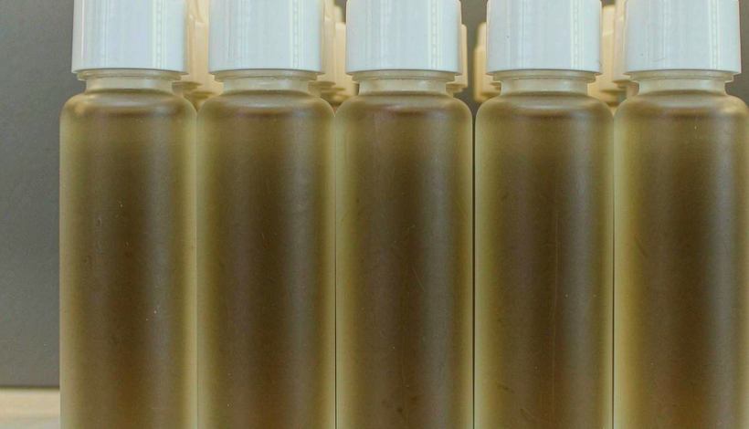 Algeria Convenience Store Long Shelf Vape packaging detail