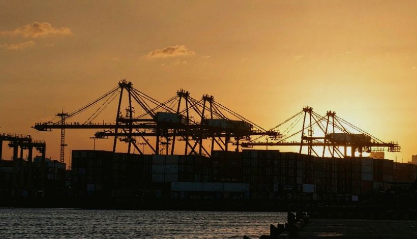 Specifications that Matter — Algeria Convenience Shelf Vape Import — Algeria Convenience Store Long Shelf Vape Bulk